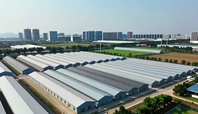 APP在电商运营中的性能表现与适用场景分析
